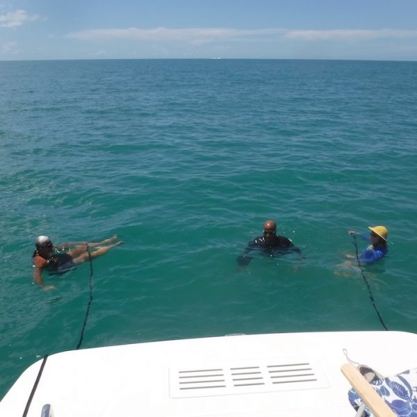 Jump Off the Boat: Sarasota, FL - June, 2025