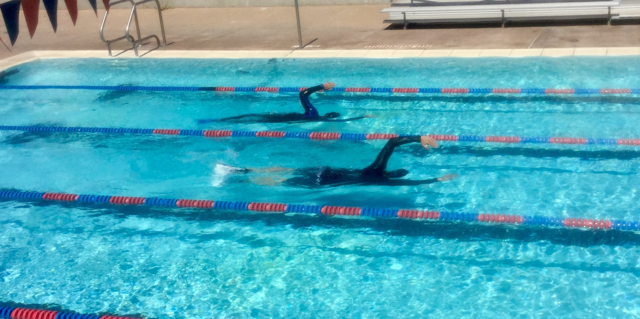 learn freestyle adult swimming lessons